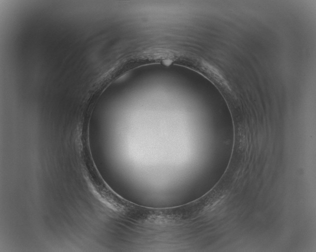 X0000073840538200608171009