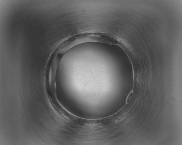 X0000073840540200608171009