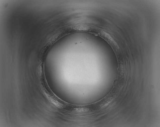 X0000073840541200608171009