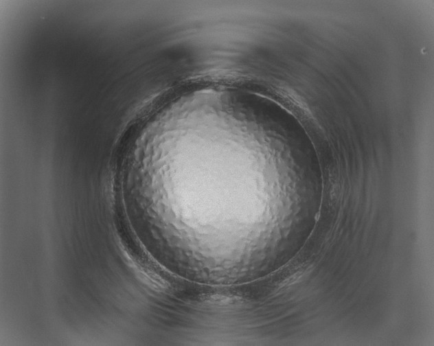 X0000073840542200608171009