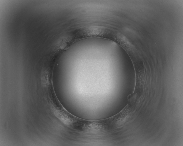 X0000073840546200608171009