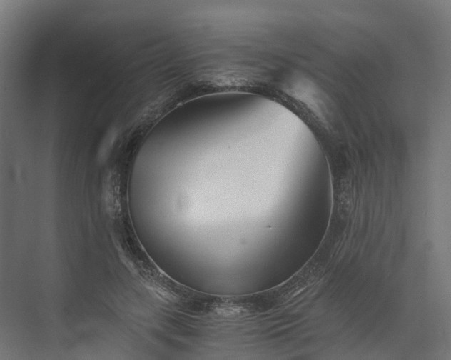 X0000073840547200608171009