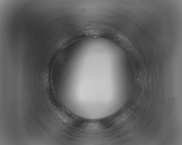 X0000073840548200608171009