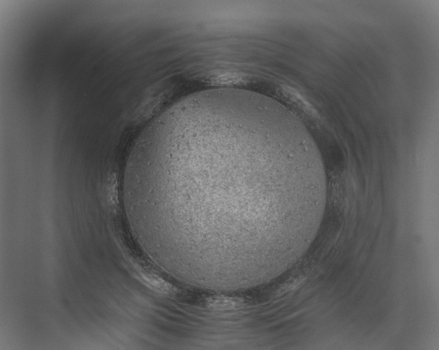 X0000073840549200608171009