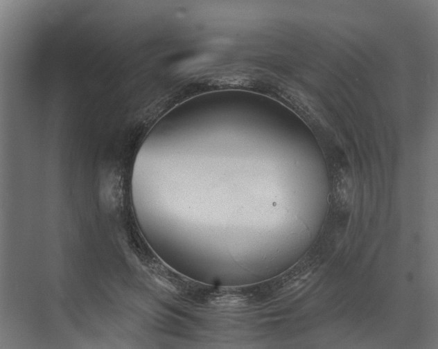 X0000073840551200608171009