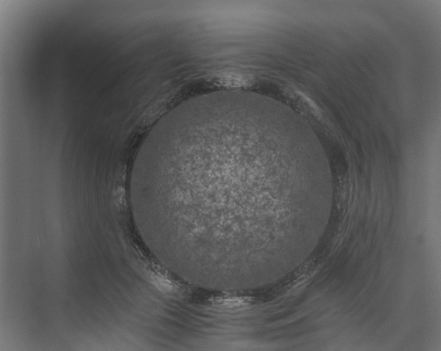 X0000073840553200608171009