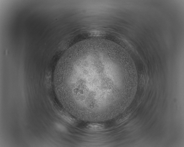 X0000073840557200608171010