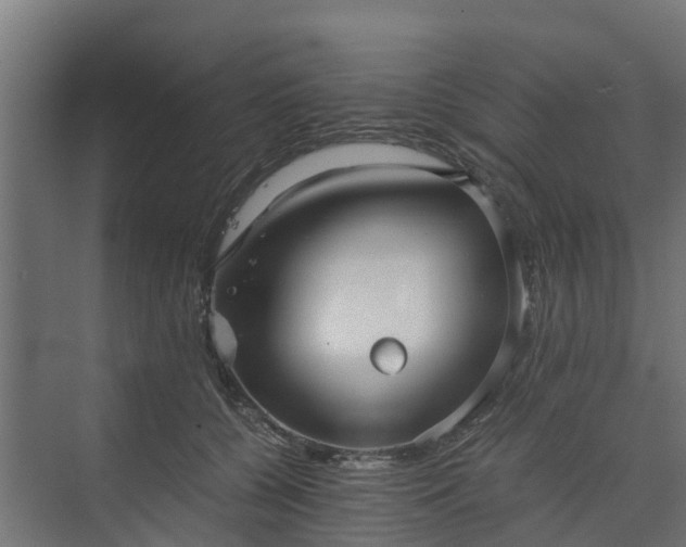 X0000073840560200608171010