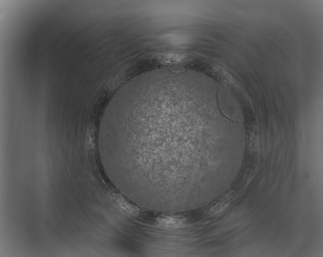 X0000073840561200608171010