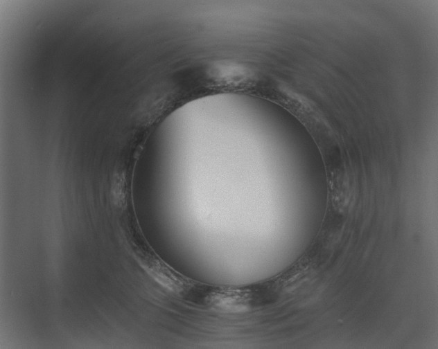 X0000073840563200608171010