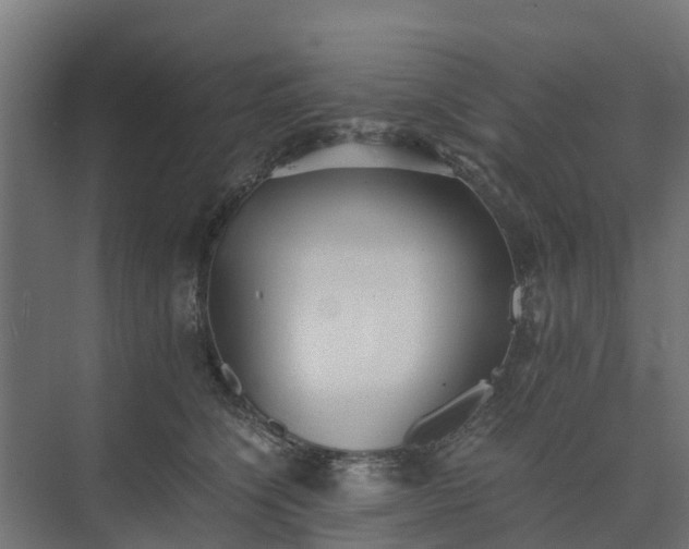 X0000073840564200608171010