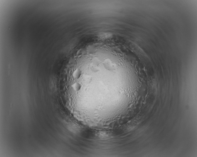 X0000073840565200608171010