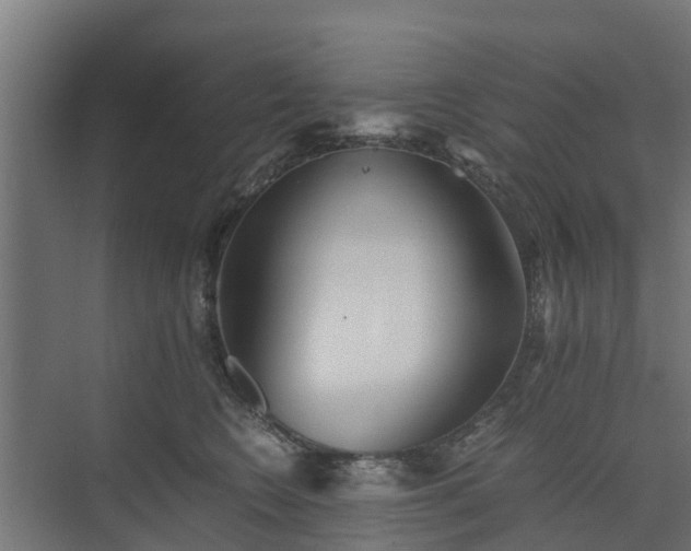 X0000073840566200608171010