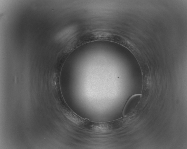 X0000073840567200608171010