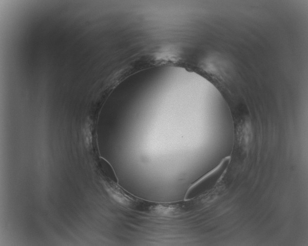 X0000073840570200608171010