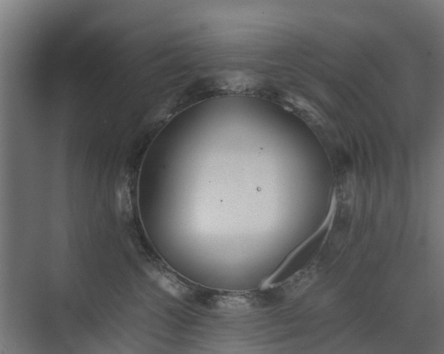 X0000073840572200608171010