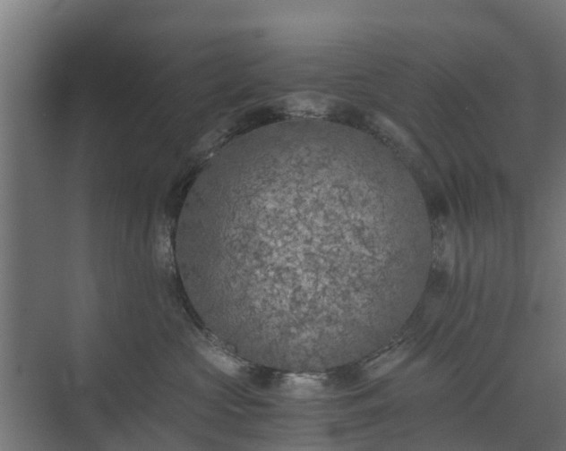 X0000073840573200608171010