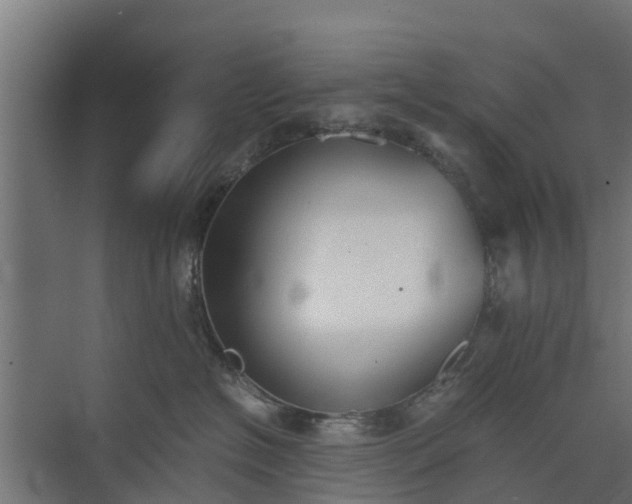 X0000073840574200608171010