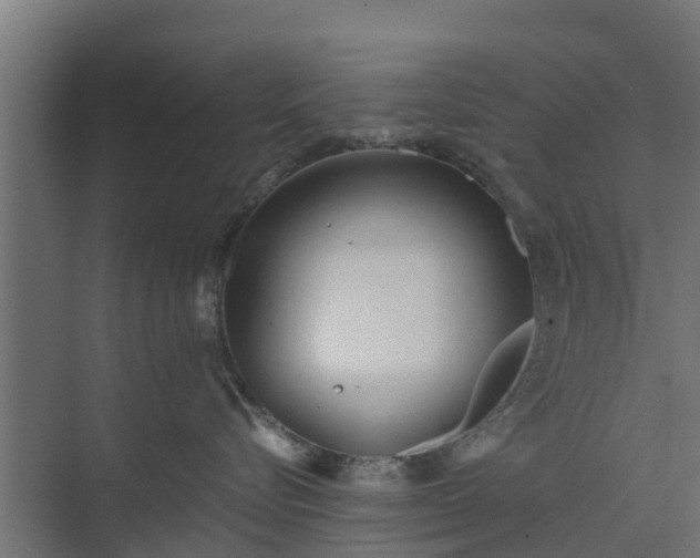 X0000073840576200608171010