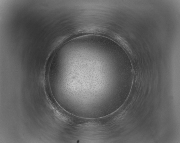 X0000073840578200608171009