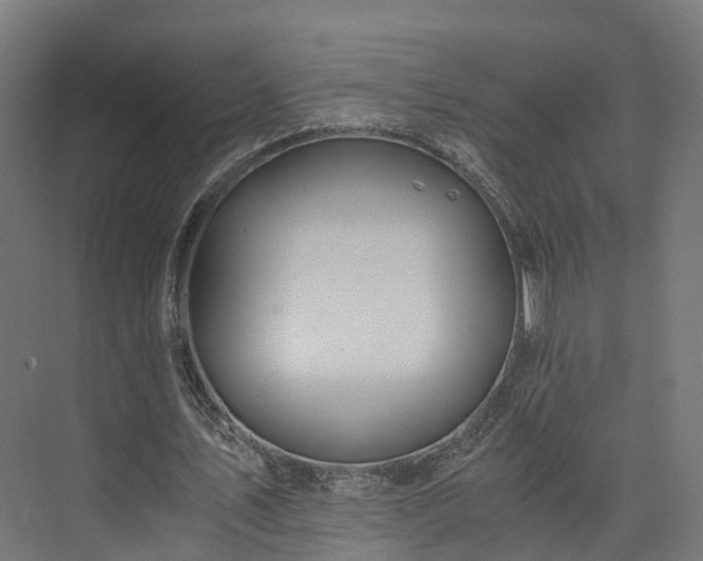 X0000073840579200608171009