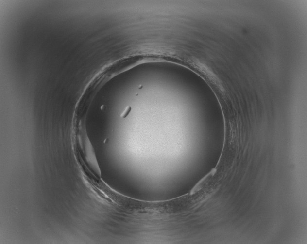 X0000073840580200608171009