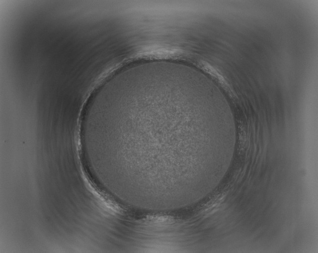 X0000073840582200608171009