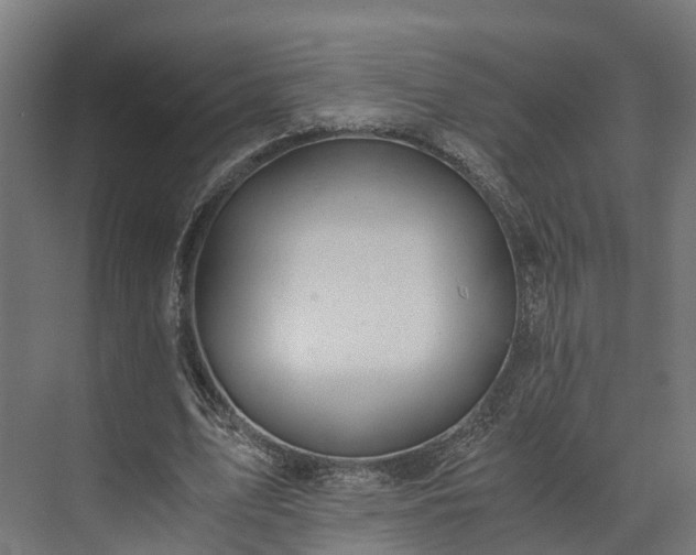 X0000073840583200608171009