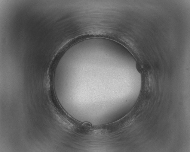 X0000073840584200608171009