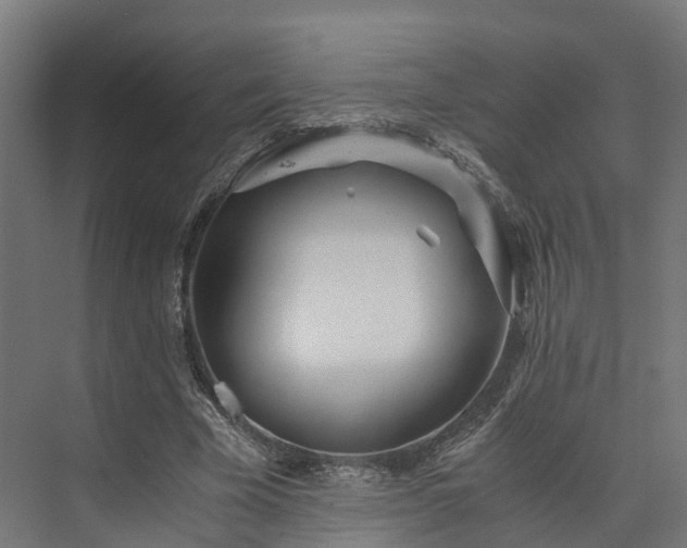 X0000073840585200608171009