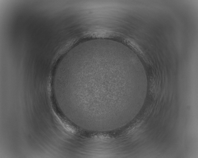 X0000073840586200608171009