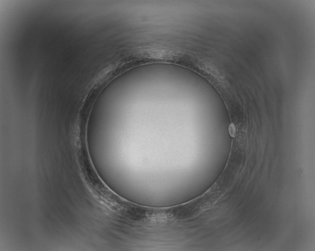 X0000073840587200608171009