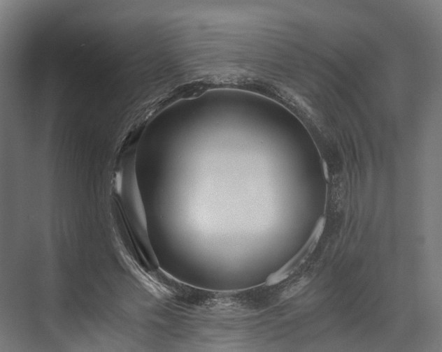 X0000073840589200608171009