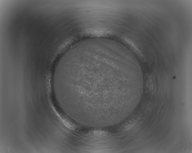 X0000073840590200608171009