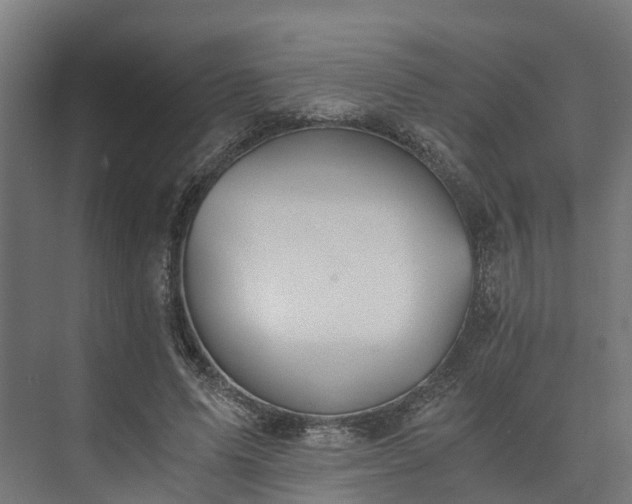 X0000073840591200608171009