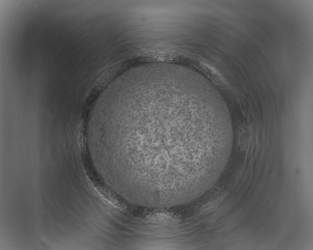 X0000073840594200608171009