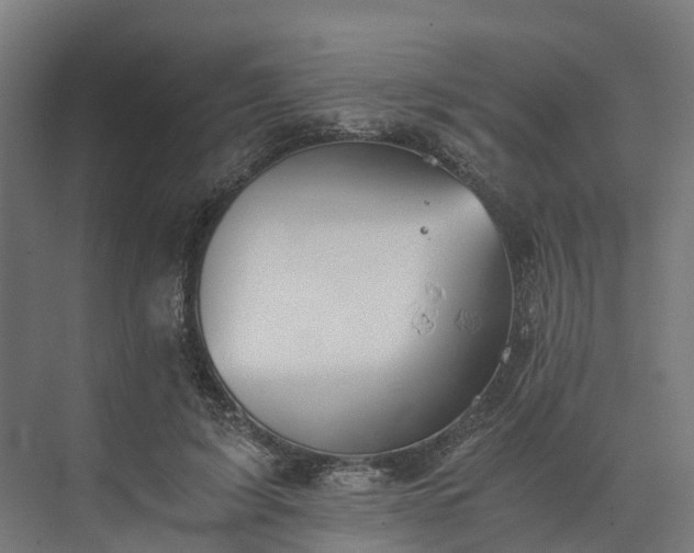 X0000073840595200608171009