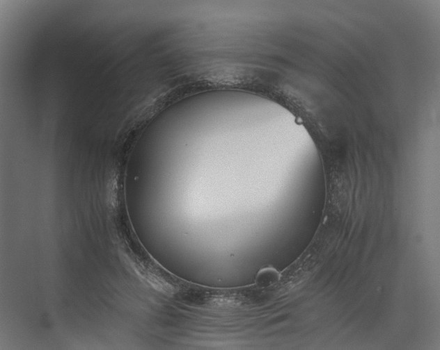 X0000073840596200608171009