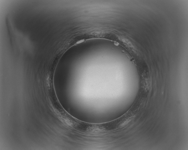 X0000073840597200608171009