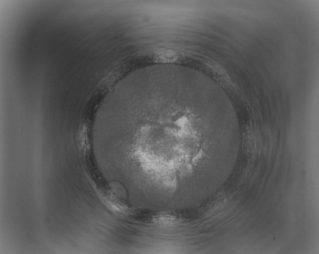 X0000073840598200608171009