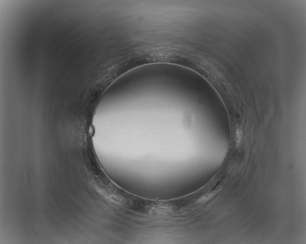 X0000073840599200608171009