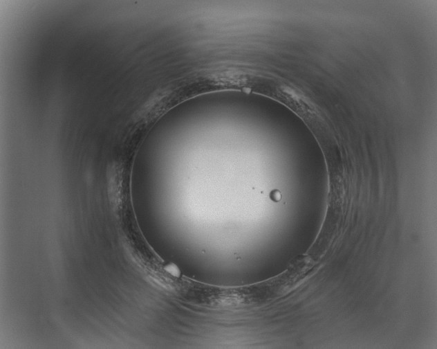 X0000073840600200608171009