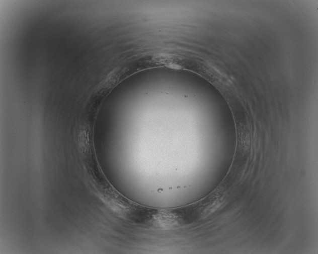 X0000073840603200608171009