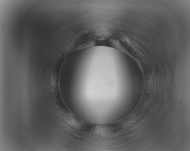 X0000073840608200608171009