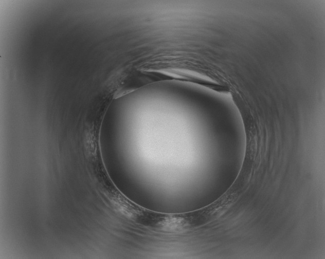 X0000073840609200608171008