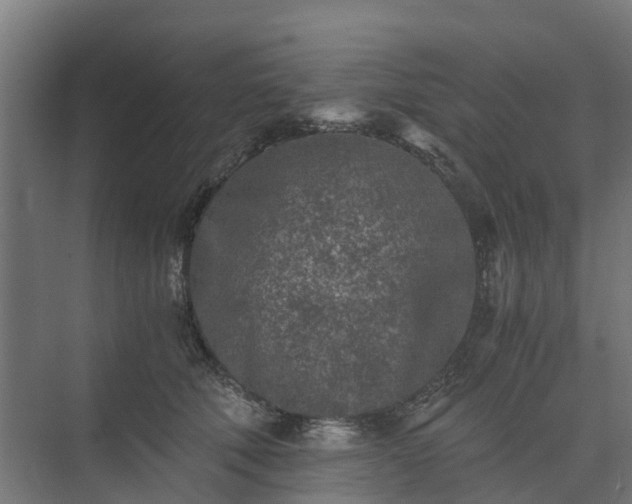 X0000073840610200608171008