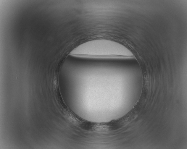 X0000073840617200608171008