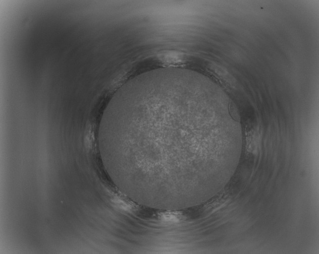 X0000073840618200608171008