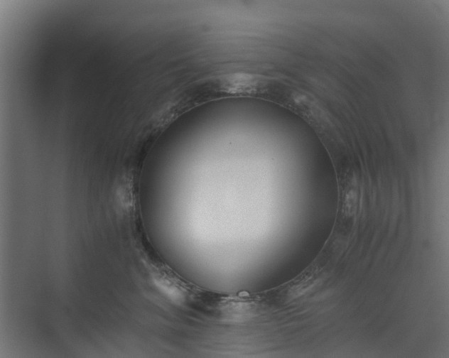 X0000073840620200608171008