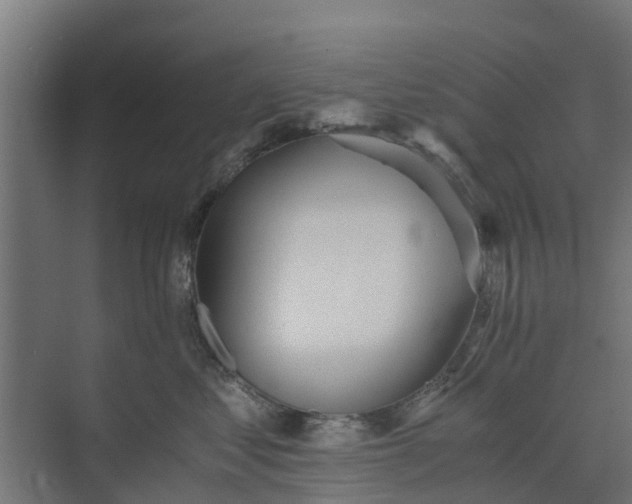 X0000073840621200608171008